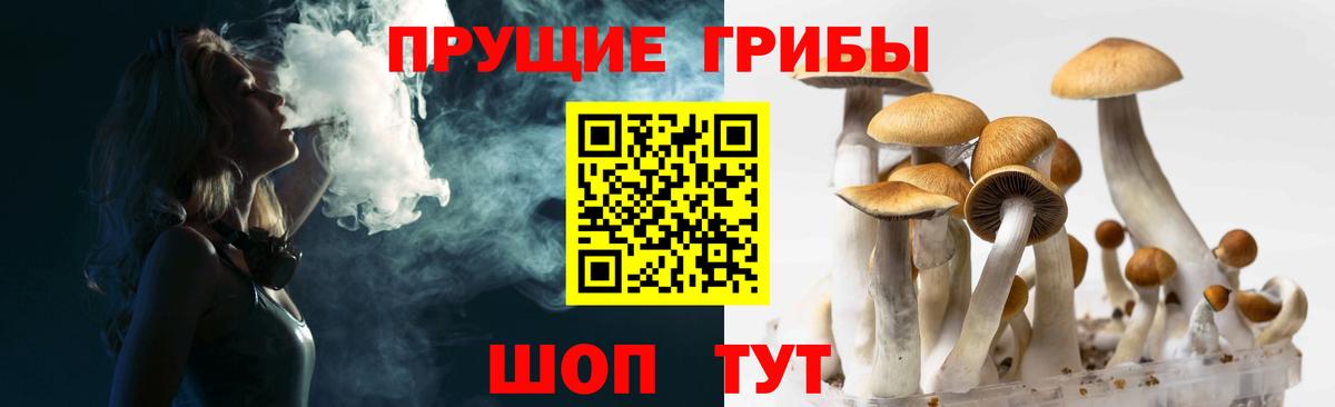 Псилоцибиновые грибы мицелий Карпинск